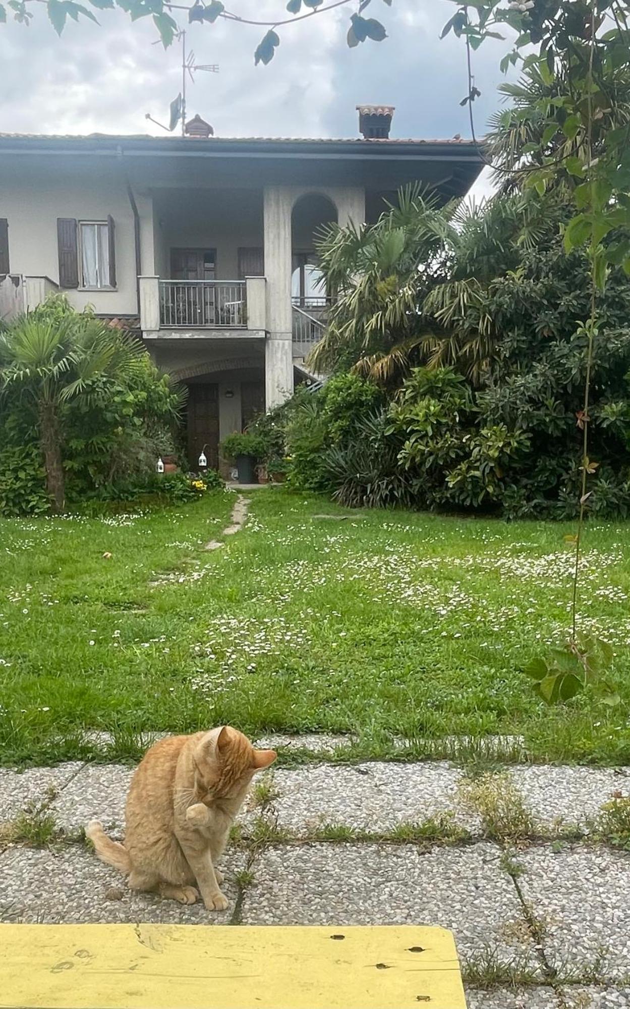 Il Giardino Di Emilia - Intero Appartamento In Villa Con Giardino Privato E Piscina Estiva Pontirolo Nuovo Exteriör bild